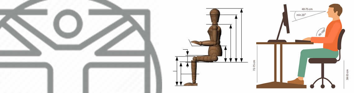 Anthropometry and Today's Ergonomics of Furniture