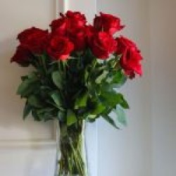 Gül Çiçek Gül Çiçek