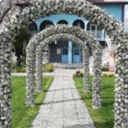 Gloriosa Zambak Giriş Dekoru Gloriosa Zambak Giriş Dekoru