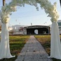 Hellebore Giriş Dekoru Hellebore Giriş Dekoru