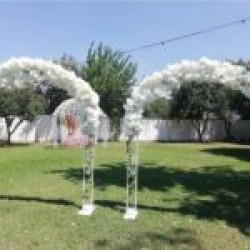 Lavanta Giriş Dekoru Lavanta Giriş Dekoru