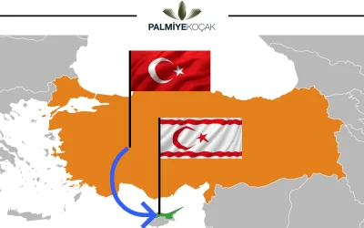 Türkiye Kıbrıs Ercan Havalimanı SAAT&SAAT Stand İmalat İhracatı  | Palmiye Koçak