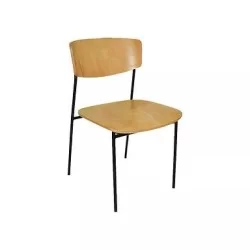 Stuhl mti7457 aus poliertem Palmenholz