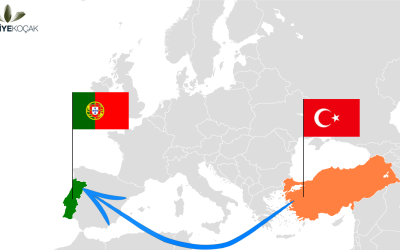 Серебряный Юпитер Unip LDA | Португалия Türkiye Экспорт Серебряный Юпитер Unip LDA | Португалия Türkiye Экспорт