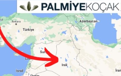 Palmiye Koçak Ирак Экспорт мебели для ресторанов Palmiye Koçak Ирак Экспорт мебели для ресторанов