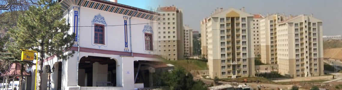 Şaphane Sandalye Şaphane Sandalye