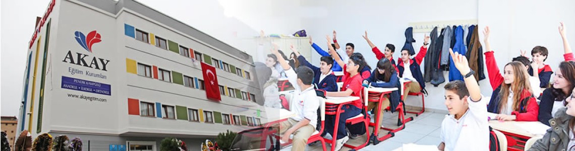 Akay College School Desks