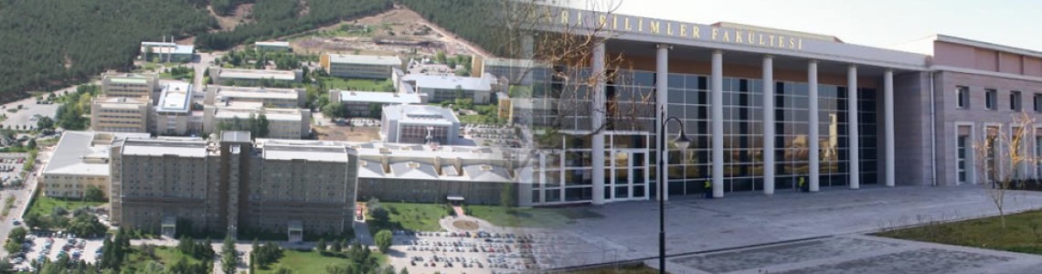 Eskişehir Osmangazi Üniversitesi