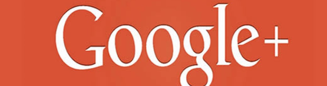 Palmiye Koçak Google Plus Sayfası