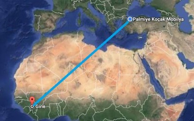 Fine Furniture Company Okul Hastane ve Devlet Kurumları İthalatı Gine