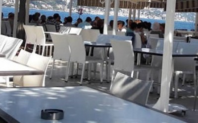 New Blog Post New Blog Post