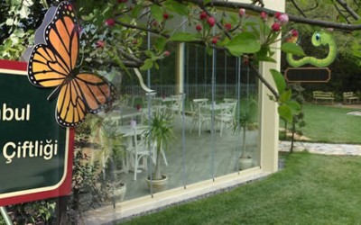 Kelebek Çiftliği Kelebek Çiftliği