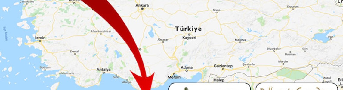 Bellapais Gardens Hotel Kıbrıs İhracatı Bellapais Gardens Hotel Kıbrıs İhracatı