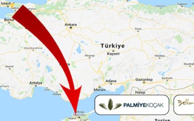 فندق بيلابيس جاردنز قبرص Export فندق بيلابيس جاردنز قبرص Export