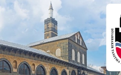 New Blog Post New Blog Post