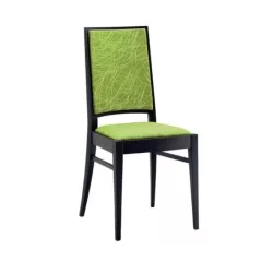 Chaise moderne peinte en noir recouvert de tissu à motifs vert pistache