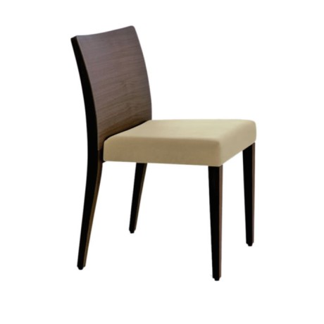 Modern Dining Room Chair