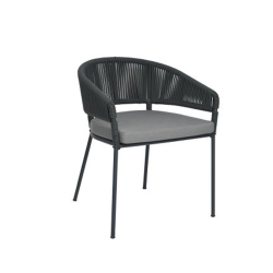 Dendrophylax Outdoor Chair Dendrophylax Outdoor Chair