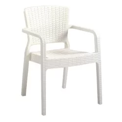 Rattan Injection Cafe Arm Chair