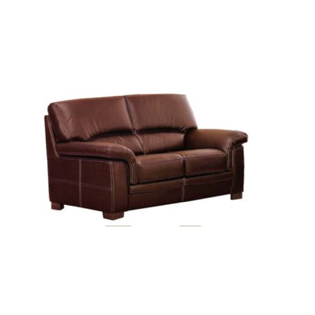 Brown Leather Upholstered Double Armchair