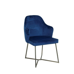 Arcturus Metal Chair Arcturus Metal Chair