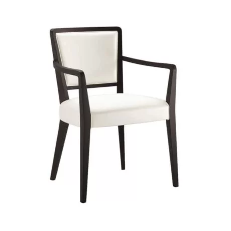 Divan modern i pikturuar me tapiceri Wenge Divan modern i pikturuar me tapiceri Wenge