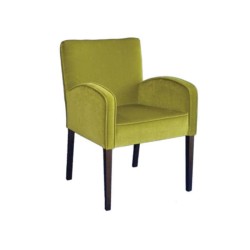 Peanut Green Fabric Upholstered Venge Painted Modern Chair Peanut Green Fabric Upholstered Venge Painted Modern Chair