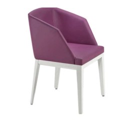 Fusia Colored White Painted Chair Fusia Colored White Painted Chair