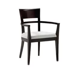 Chaise de restaurant à bras en bois peint brillant noir