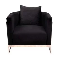 Black V Metal Back Bergere