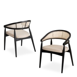 Karrige e restorantit të krahut modern Baileya