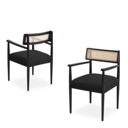 Ресторантски стол Ferocactus Modern Arm Ресторантски стол Ferocactus Modern Arm