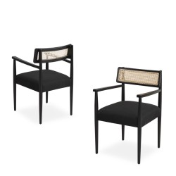 صندلی رستوران بازوی مدرن Ferocactus