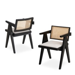 Модерен ресторантски стол Encyclia Модерен ресторантски стол Encyclia