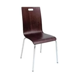 Polierter Beschichteter Monoblock Stuhl