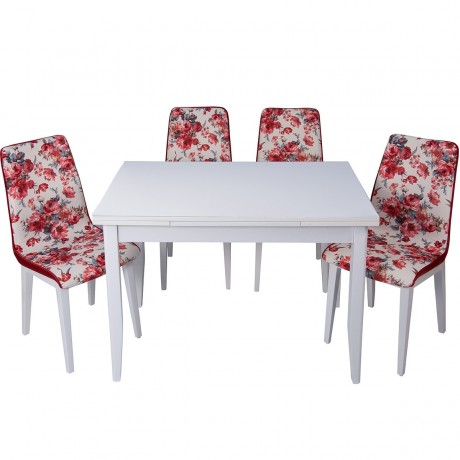 Rose Wood Chair and White Economical Table Set
