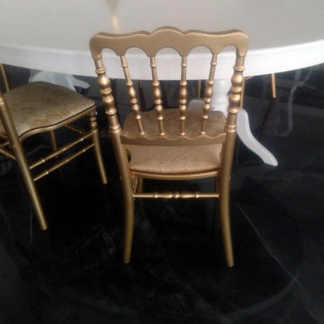 Wooden Skeleton Cushioned Seating Surface Velcro Napoleon Gold Chair