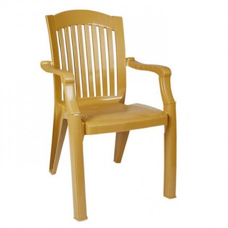 Plastic Luxury Arm Chair
