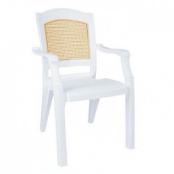 Back Matted Double Color Luxury Plastic Arm Chair