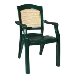 Green Beige Colorful Luxury Arm Chair