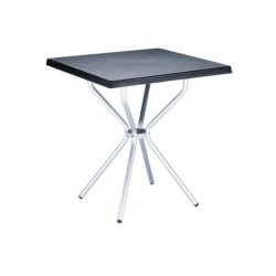 Tabela e kopshtit plastik me këmbë alumini me ngjyra të zeza Tabela e kopshtit plastik me këmbë alumini me ngjyra të zeza