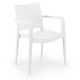 Indoor and Outdoor Home Cafe Beach Arm Plastic Injection Chair
