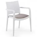 Interior Plastic Chair