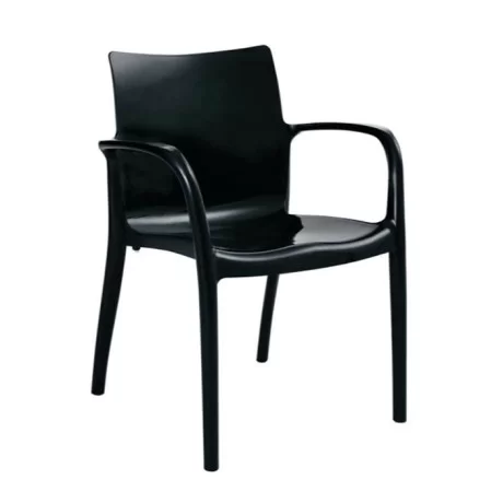 Winter Garden Black Arm Chair
