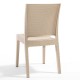 Cappuccino Rattan Looking Armless Plastic Injection Chair