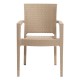 Cappuccino Rattan Looking Plastic Injection Arm Chair