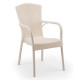 Rattan Look Plastic Outdoor Rattan Arm Chair