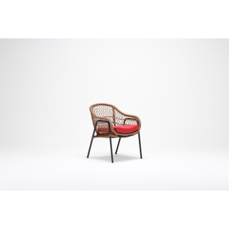 Brown Colored Cushion Rattan Chair
