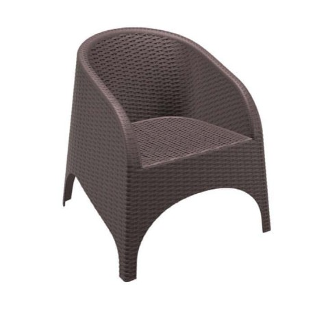 Brown Rattan Injection Winter Garden Chair