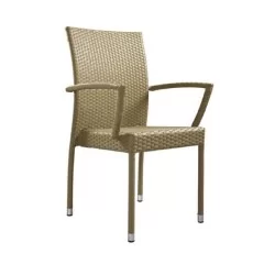 Chaise de jardin d'hiver en rotin